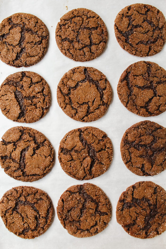 group shot of cookies