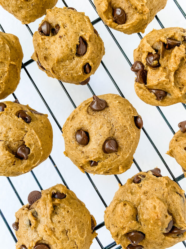 Soft Vegan Pumpkin Chocolate Chip Cookies