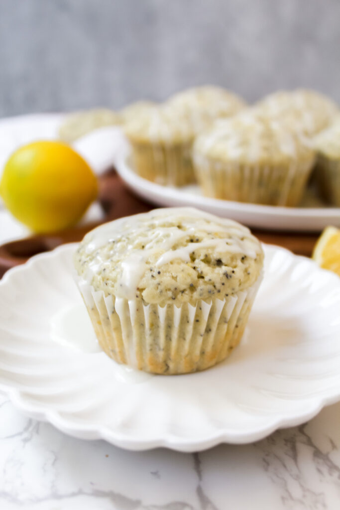 One muffin on a plate