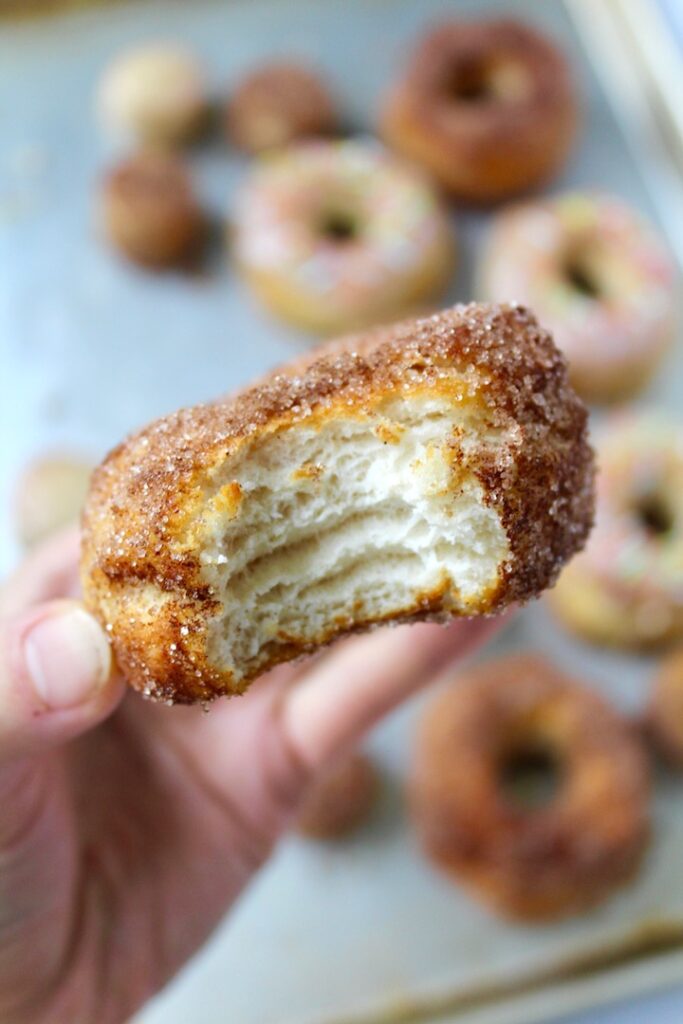 Shortcut Air Fryer Donuts (vegan)