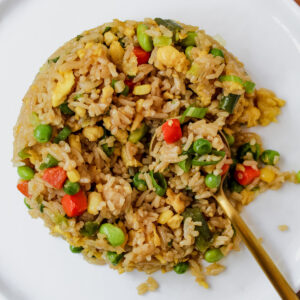 spoon in fried rice