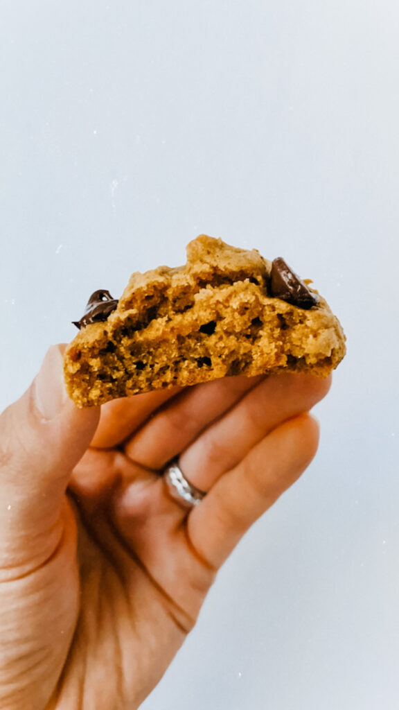 Soft Vegan Pumpkin Chocolate Chip Cookies