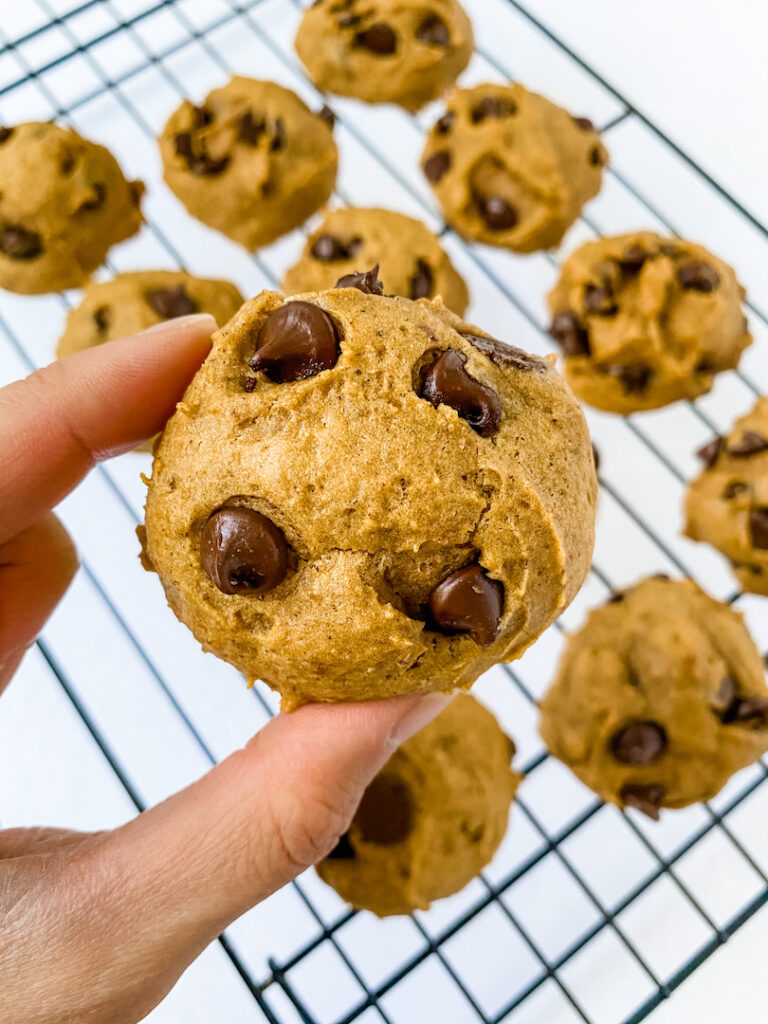 Soft Vegan Pumpkin Chocolate Chip Cookies