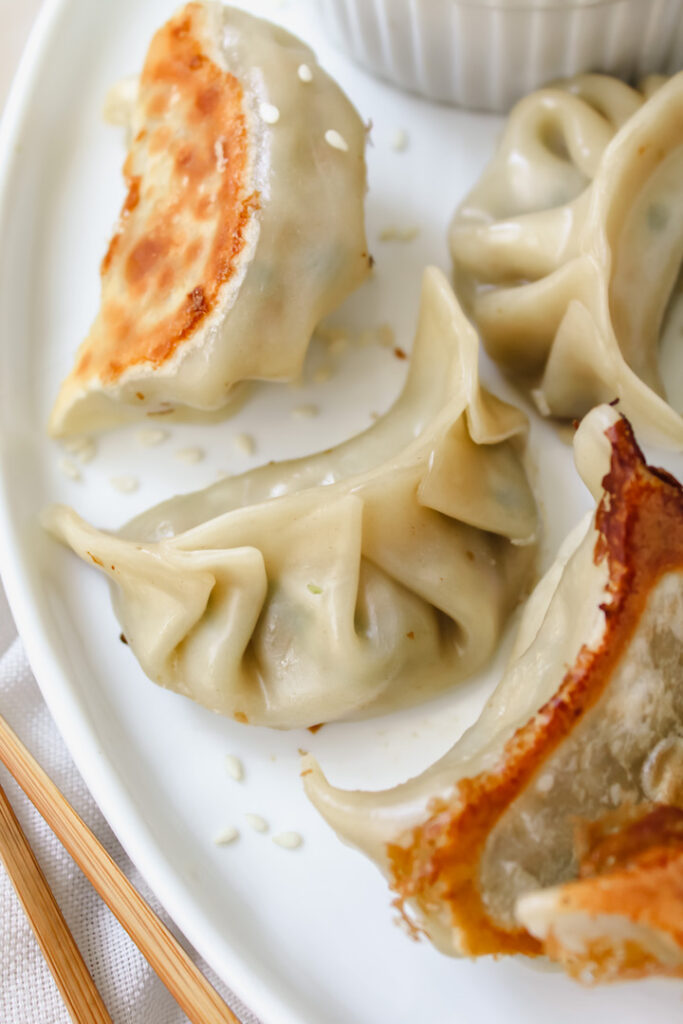 close up of one potsticker