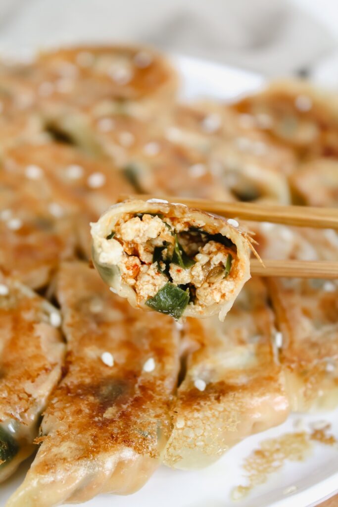 inside shot of a kimchi tofu potsticker