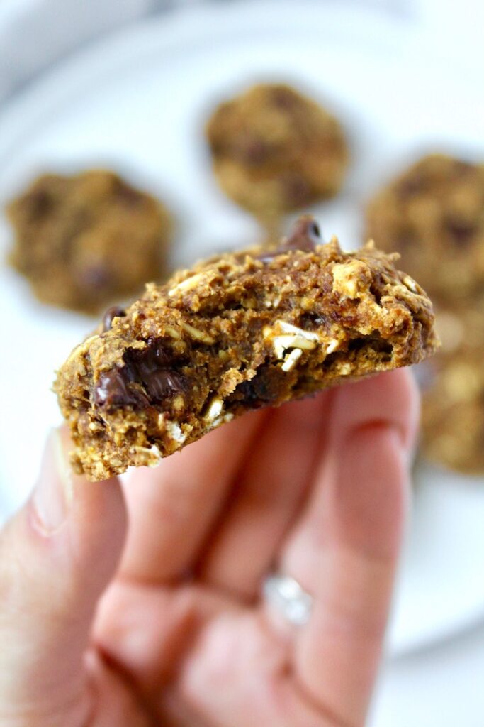 Healthy Pumpkin Oatmeal Chocolate Chip Cookies (vegan, oil-free, refined sugar free)