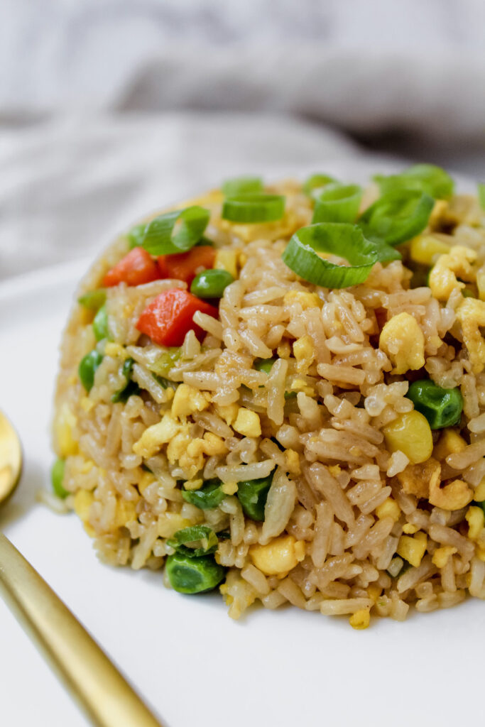 close up side view shot of fried rice