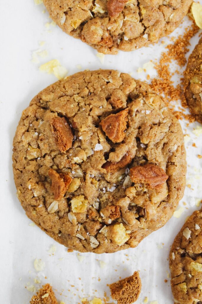 close up shot of a cookie 